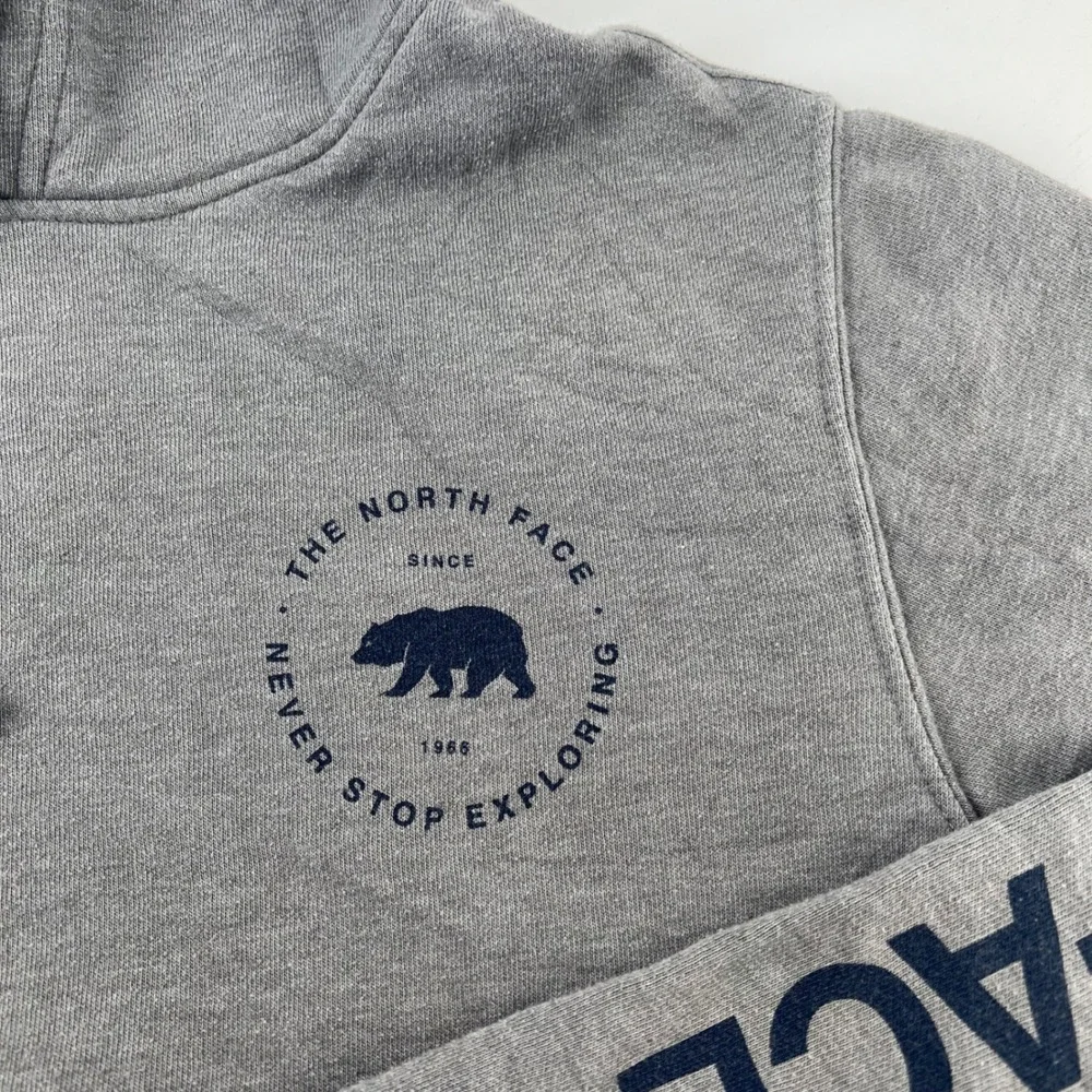 The North Face Mens Gray Bear Graphic Sleeve Logo Pullover Hoodie Small